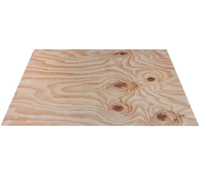 Pine Plywood C+/C